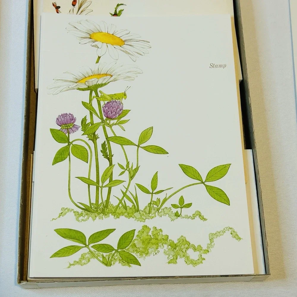 Vintage Current Daisy Time Stationery Set Unused Complete Botanical Floral